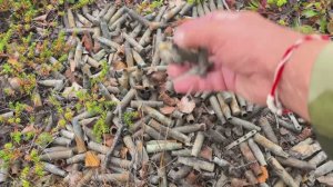 Сбор грибов на рубежах обороны Заполярья