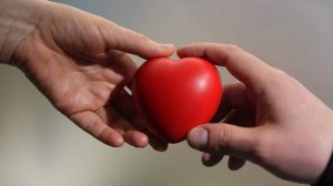 Столичный благотворительный сервис за пять лет собрал пожертвования на 250 млн рублей