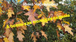 Инна Чернышёва - А осень как молодая ведьма