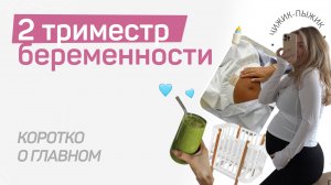 Второй триместр беременности / ГЛАВНОЕ // вопрос-ответ