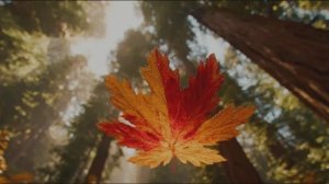 Наступает осень.