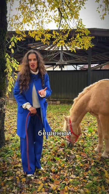 Как ипповенция помогает человеку кардинально измениться? История одной сессии смотреть онлайн