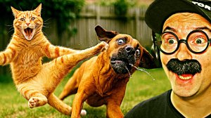 100 САМЫХ СМЕШНЫХ ВИДЕО (3 Выпуск)