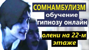 Сомнамбулизм в гипнозе. Олени на 22-м этаже