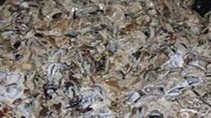 Пирог с опятами