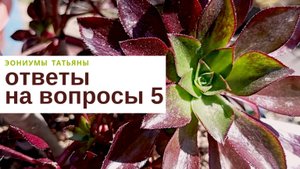 №206. Ответы на вопросы - 5