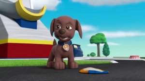 Щенячий патруль | Щенячий патруль испытывает эмоции! с Маршаллом и Гонщиком #3  60 минут | Nick Jr.