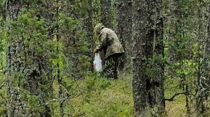 Отпуск на Селигере