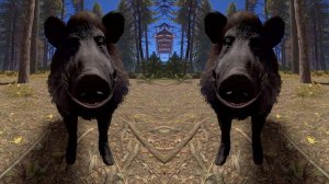 Самокат (VIP)