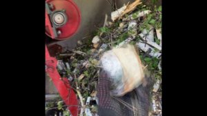 Веткоруб. Прицеп для переработке веток и древесных отходов.