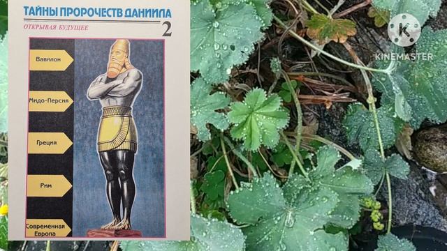 Октябрь с 5 по 12.
Бог открывает будущее.