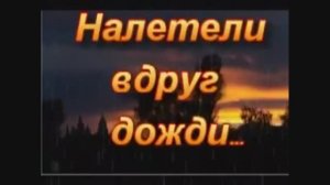 "НАЛЕТЕЛИ ВДРУГ ДОЖДИ" Шувалова Светлана