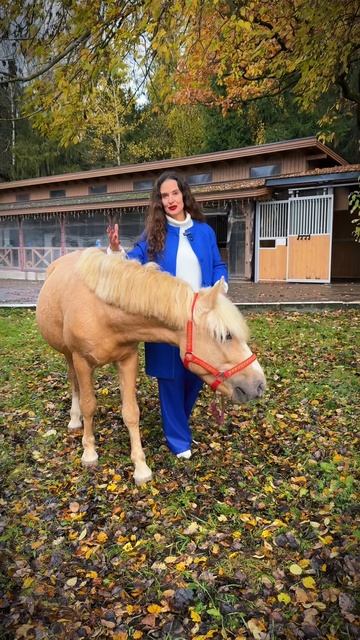 Психологические форматы работы в ипповенции смотреть онлайн