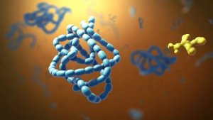 строение клетки видео