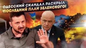 Последний акт клоуна: Как Зеленский начал тотальную зачистку перед крахом Украины
