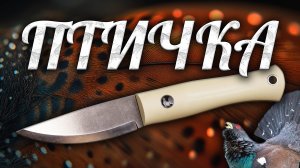 Птичка Стальная. Обзор Beaverknife Bird&Trout: Идеальный Скандинавский Нож из 3V