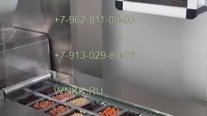 Машина для вакуумной упаковки перепелиных яиц D-89