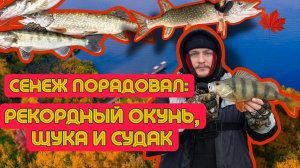Сенеж порадовал: РЕКОРДНЫЙ ОКУНЬ, щука и СУДАК