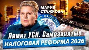 Мария СТАЖКОВА об УСН, фирмах-однодневках и рисков для самозанятых. АУСН / Время Инноваций интервью
