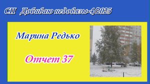 СП "Добиваю недовязы/4-2025" / Отчет 37