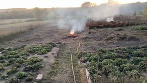 УБОРКА ОГОРОДА. ЗАЛИВАЕМ БЕТОН ДАЛЬШЕ. ПОЯВИЛАСЬ ПРОБЛЕМА. УРОЖАЙ МОРКОВИ ОТЛИЧНЫЙ.