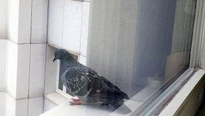 Доброго вечера всем!
