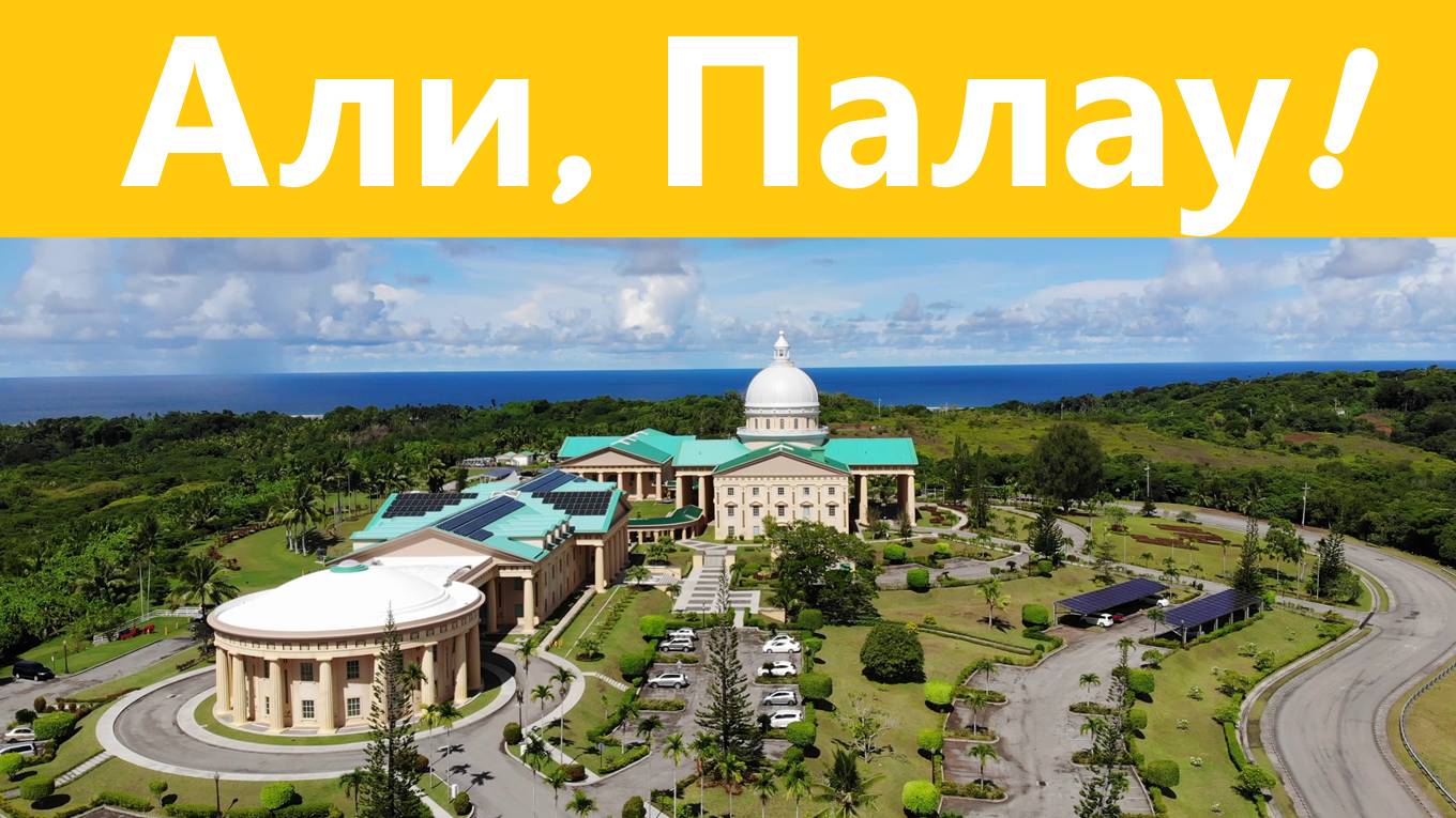 Али Палау! Август 2025