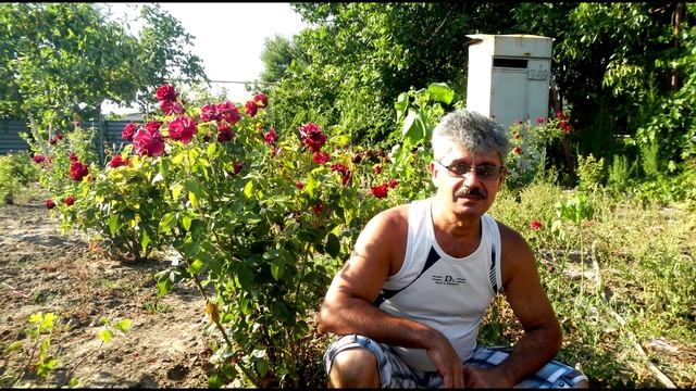 Игрушка  каверГ.Шабан кавер