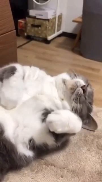 Когда приснилась любимая работа 🤣🤣🤣