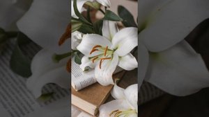 ОБЗОР ПОДКАСТ НА КАНАЛ Ж.П.И.Р.И ЖЕНЩИНА ПО ИМЕНИ РИММА МАНИПУЛЯЦИИ ПРОДОЛЖАЮТСЯ