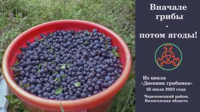 Вначале грибы - потом ягоды! Дневник грибника 25 июля 2023 года. смотреть онлайн