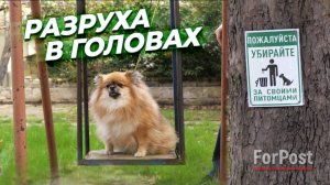 Собаки и человек: с кого спрос? - сюжет ForPost