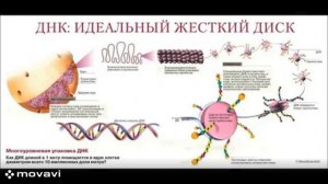 Время по Козыреву - это и есть наглядное проявление программного обеспечения физического мира...