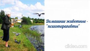 Домашние животные - "психотерапевты"