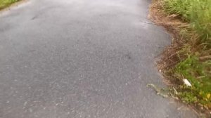 Гуляю далеко от дома (или же выполняю пункт 15(я не помню)