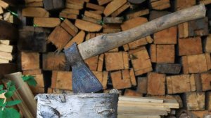 Народные приметы на 17 октября: что можно и нельзя делать