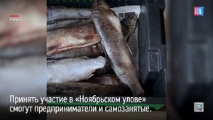 В Ноябрьске на площади «Южные ворота Ямала» пройдёт ярмарка