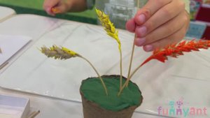 "Колоски". Поделка из колосьев пшеницы для дошкольников. Funny Ant Malahovka