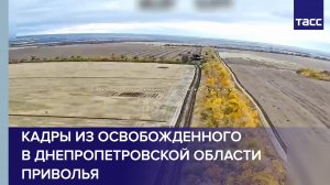 ТАСС публикует кадры из освобожденного в Днепропетровской области Приволья