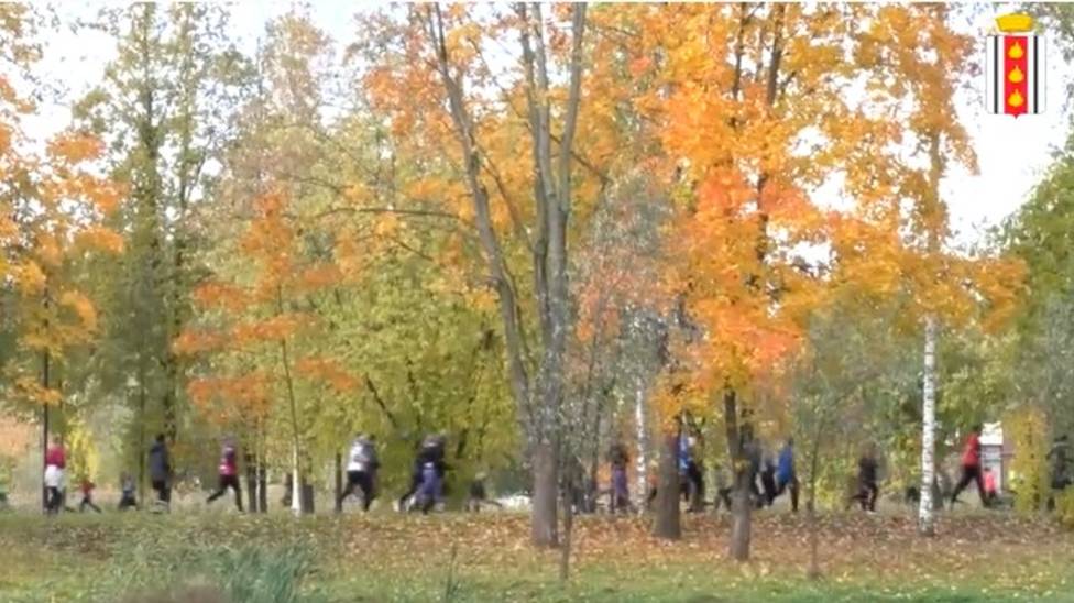 Колпинский кросс. 11 октября 2025 г. смотреть онлайн