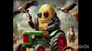 Бульбито бандито трактарито фонк