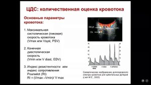 21 УЗИ портальная гипертензия