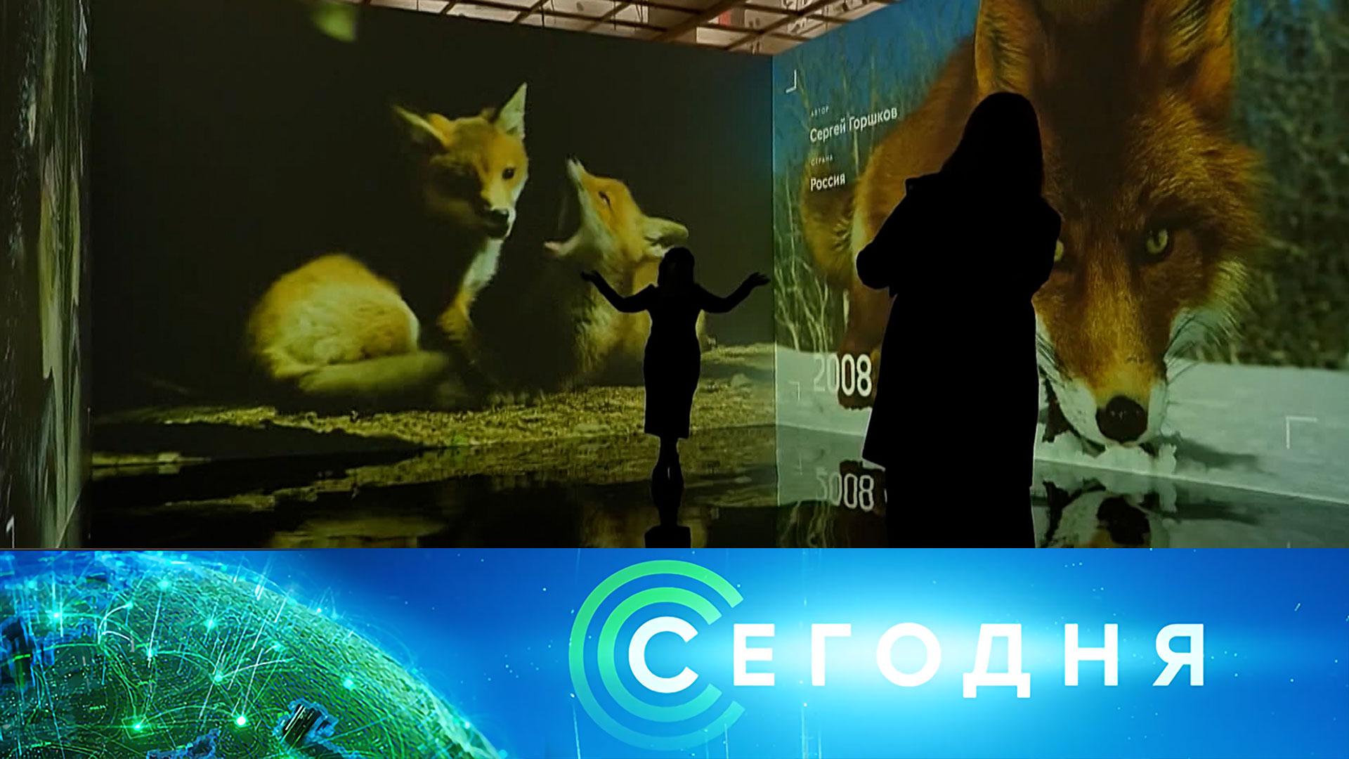 Сегодня: 17 октября 2025 года. 16:00 | Выпуск новостей | Новости НТВ