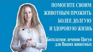 Ци04-23 Цигун-терапия для животных. Цигун Весеннего Леса (Чуньи Лин)