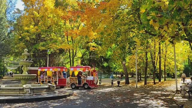 Золотая осень в городе .  пора листопада и ярких красок и очарования .