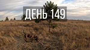 День 149