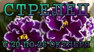 СТРЕЛЕЦ таро прогноз на неделю с 20 по 26 ОКТЯБРЯ 2025 года.