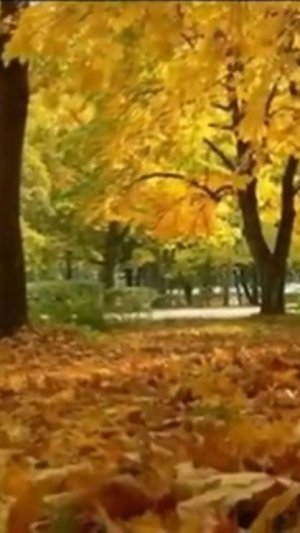 Однажды ветер...