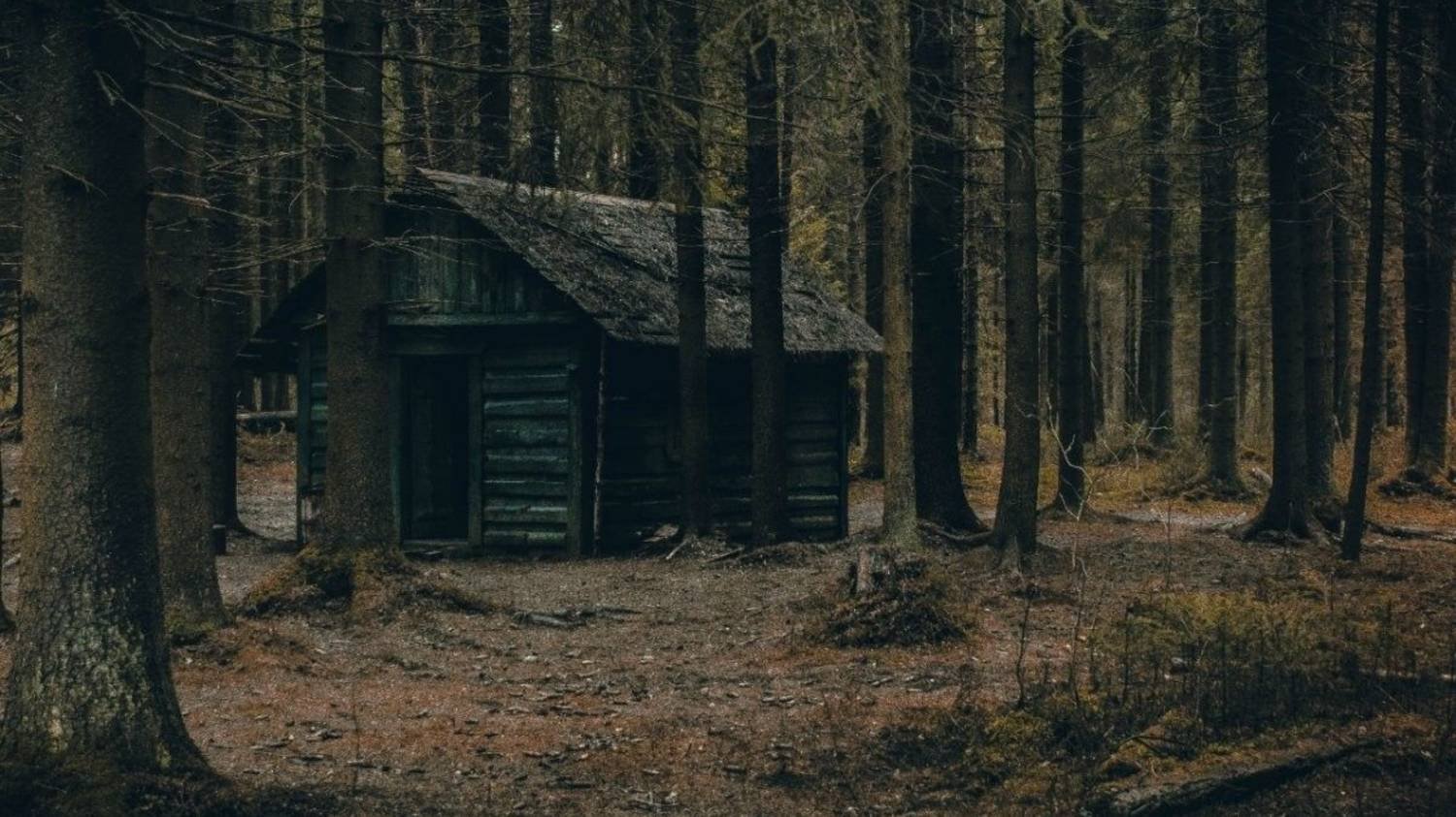 Мистика. БАНЯ В ЛЕСУ!  Истории На Ночь