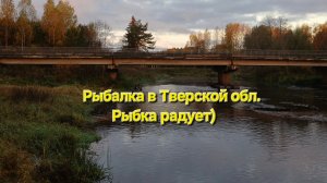 Рыбалка в Тверской обл. Рыбка радует)